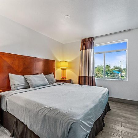 Chandler 1 Bd 1 Ba Fully Renovated Premium Lux Apartment Pets Allowed 外观 照片