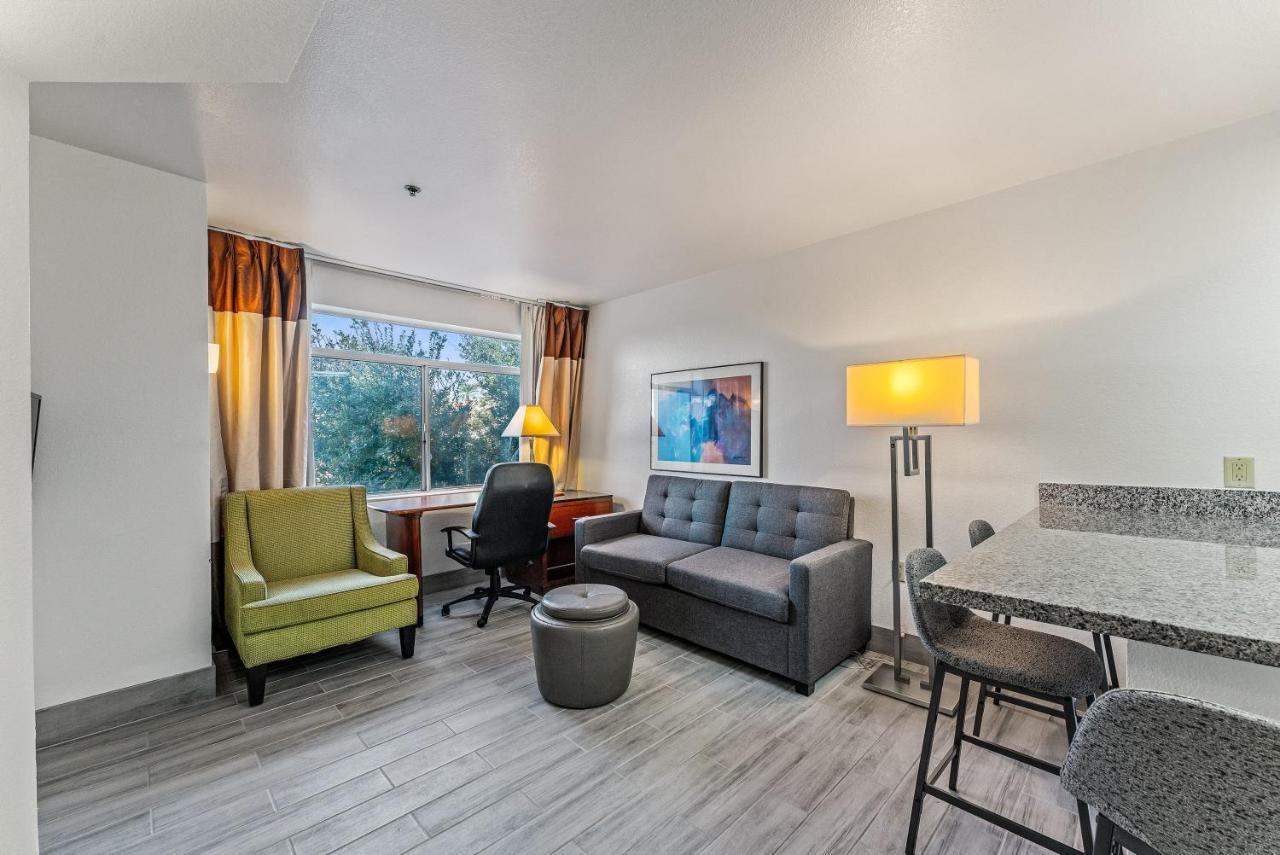 Chandler 1 Bd 1 Ba Fully Renovated Premium Lux Apartment Pets Allowed 外观 照片